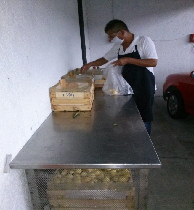 Recepción de insumos
